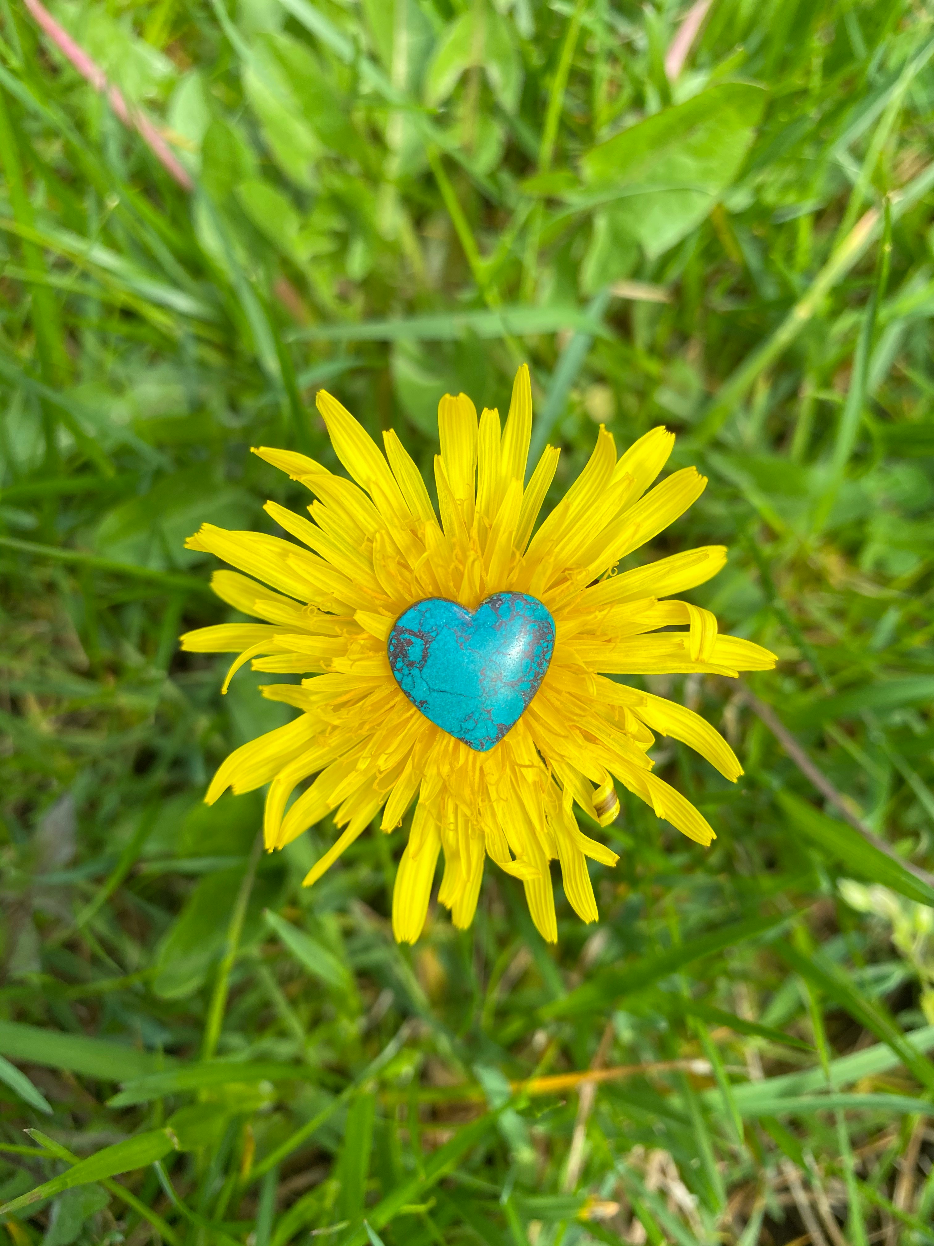 Symbol för läkning och hopp genom stöd av psykolog och psykoterapeut vid PTSD och svåra livserfarenheter